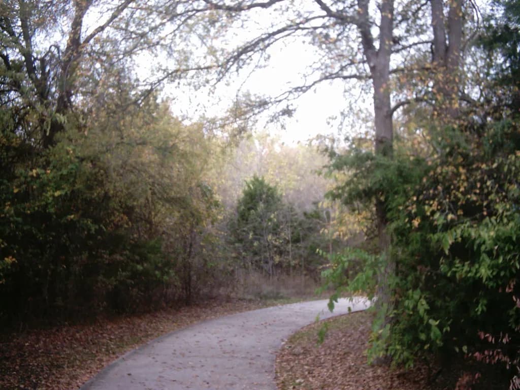 A paved walking trail curving through autumn trees at Celebration Park in Allen, Texas